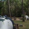 DSC00219
