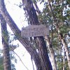 DSC00097