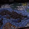 DSC00576