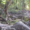 DSC00108