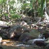 DSC00514