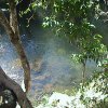 DSC00516