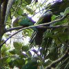 DSC00065