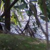 DSC00470
