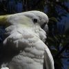 DSC00888