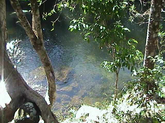 dsc00516 dsc00516